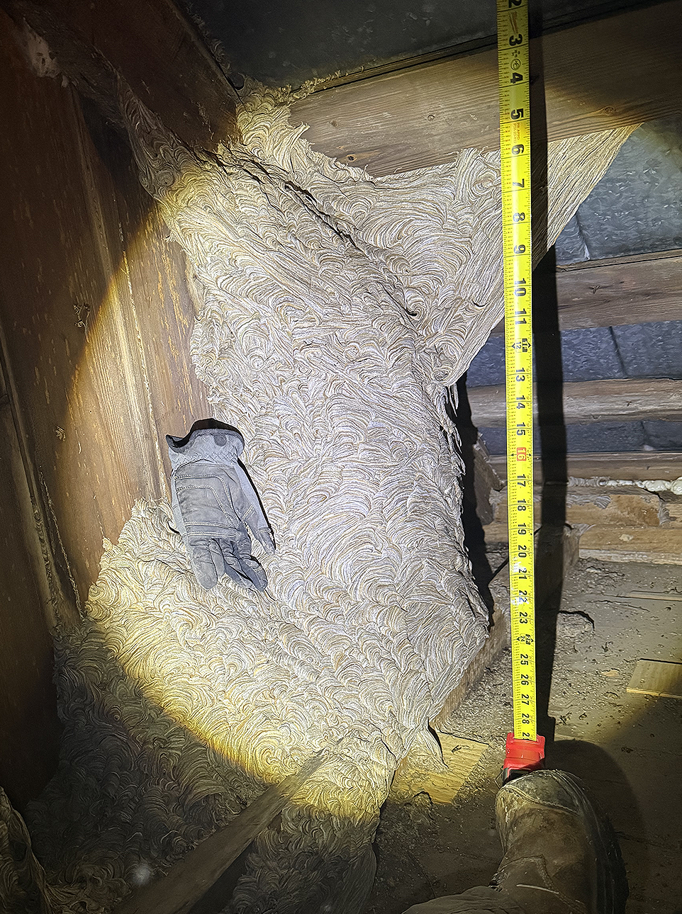 closed cell foam